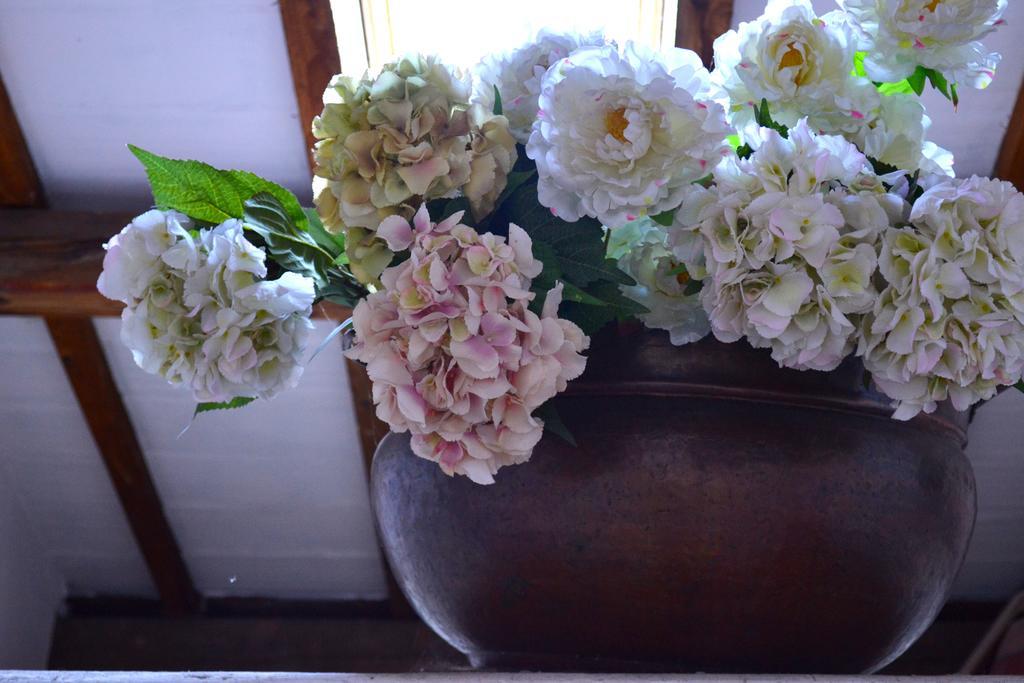 Cosetta Guest House Certaldo Room photo